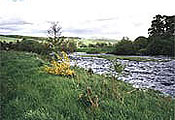 Views from Self catering accommodation, Newark Farm, Dumfries and Galloway