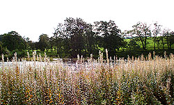 River Nith Margin