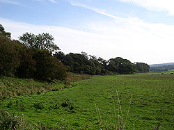 Species rich grass and woodland in Dumfries and Galloway
