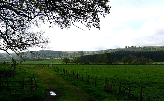 Walking on the Southern Upland Way at Newark Farm, Sanquhar