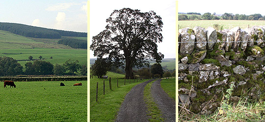 Walking holiday at Newark Farm, Sanquhar, Dumfries & Galloway