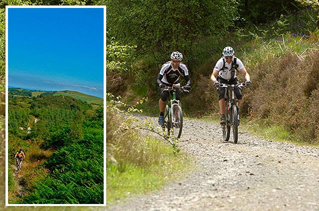 Mountain Biking at 7 Stanes